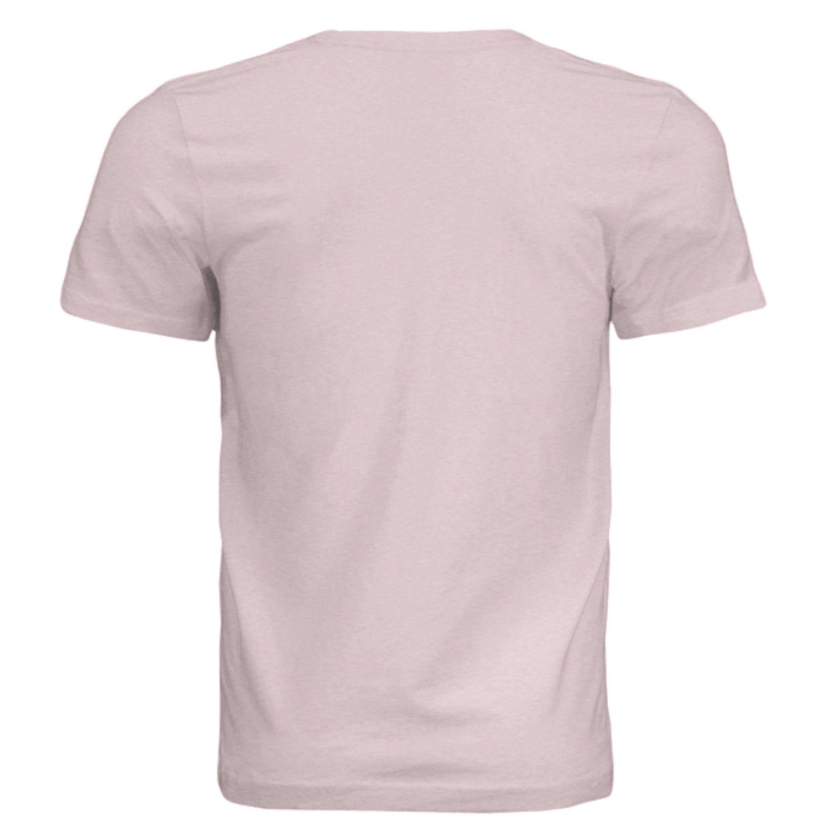 Pink Triblend - BACK